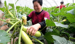 永年产业城吃瓜视频爆料,背后惊人真相曝光