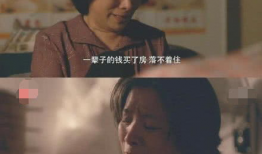 养女 电视剧,命运交织的亲情救赎